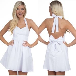 NWT - Lauren James Stratton Seersucker Dress - Size Large